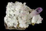 2" Amethyst Crystal Cluster - Las Vigas, Mexico - #136991-1